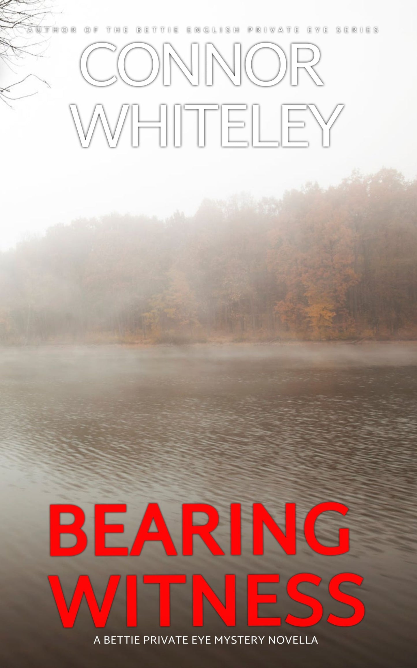 Bearing Witness: A Bettie Private Eye Mystery eBook Novella