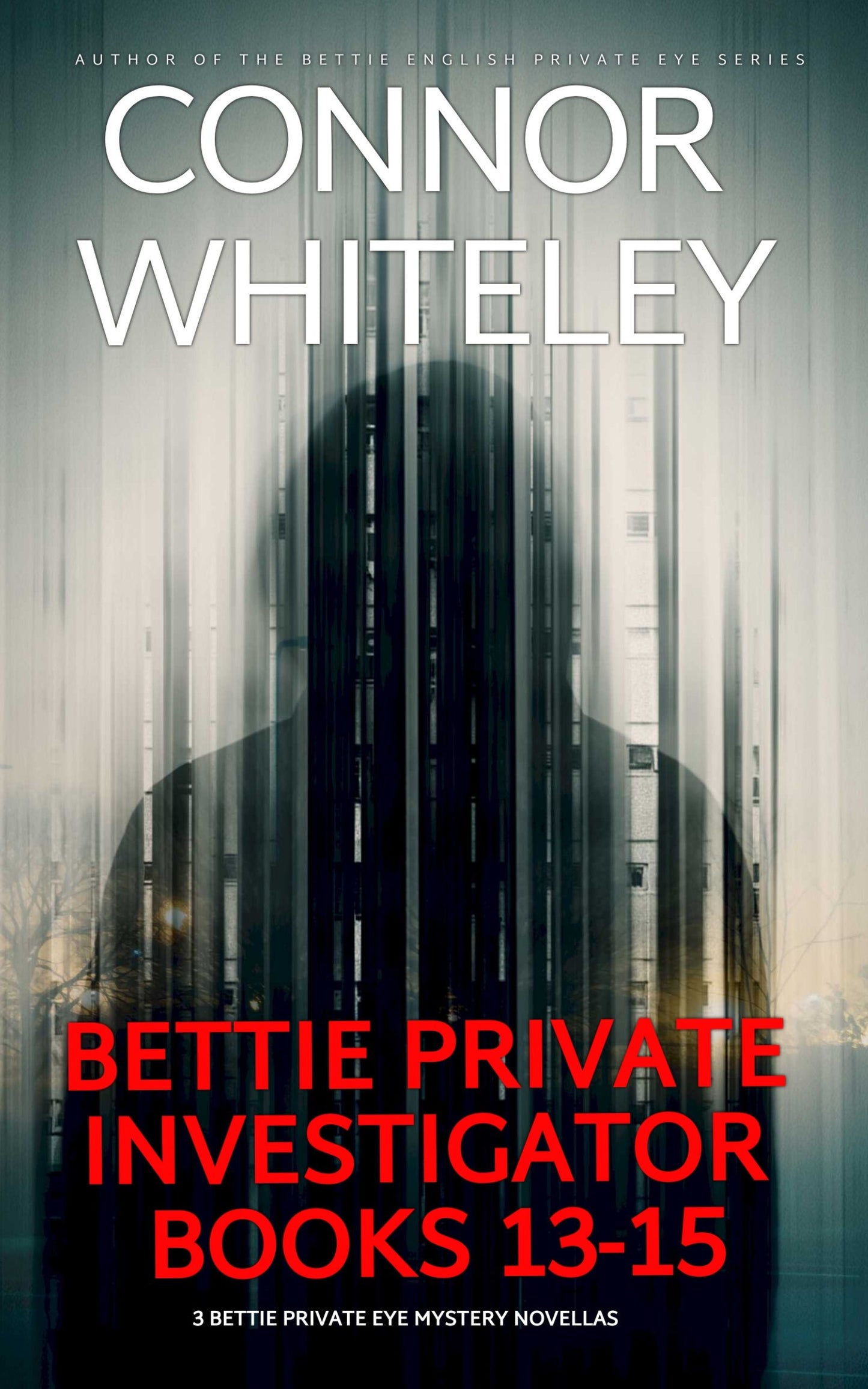 Bettie Private Investigator eBooks 13-15: 3 Bettie Private Eye Mystery Novellas