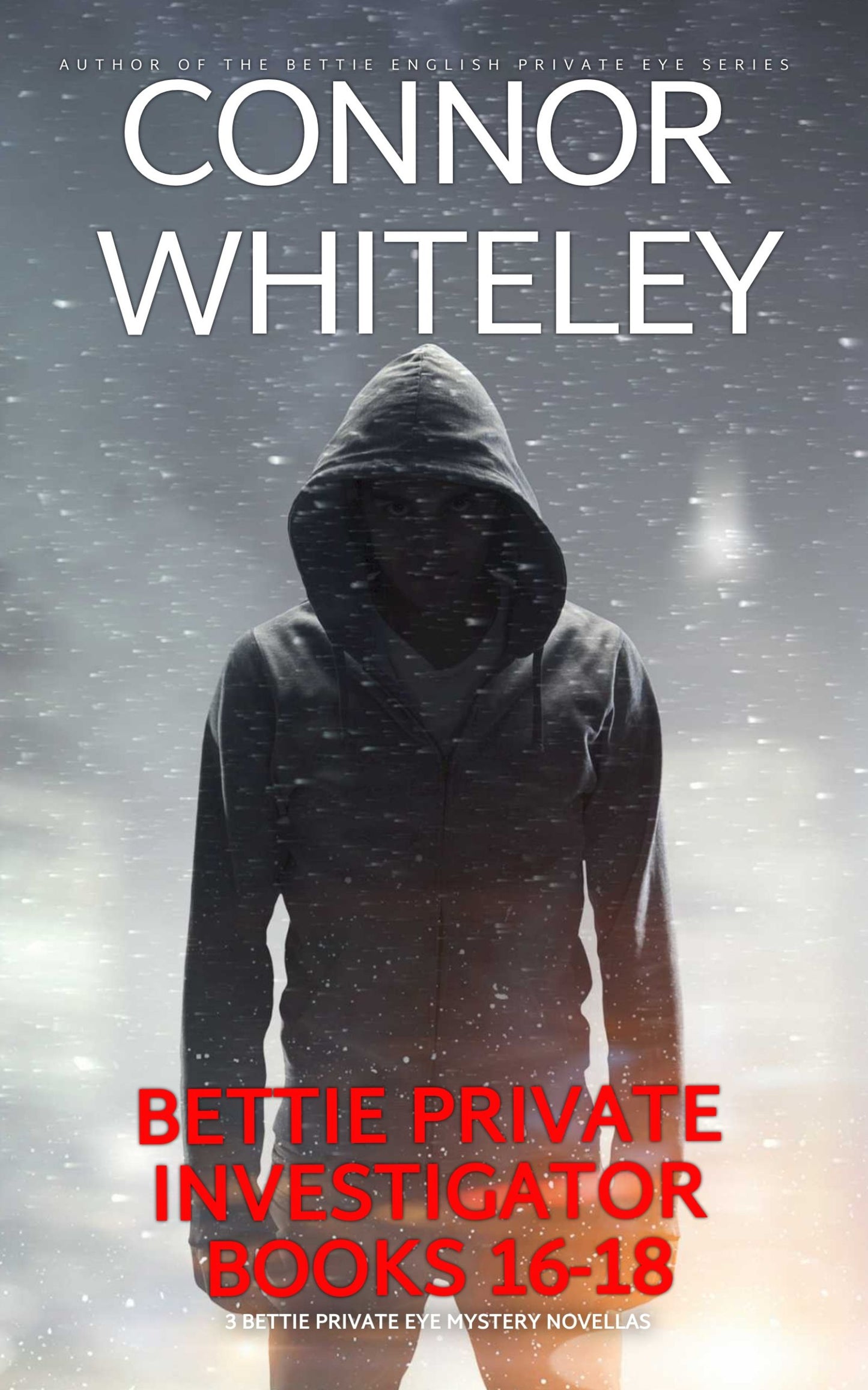 Bettie Private Investigator Books 16-18: 3 Bettie Private Eye Mystery Novellas