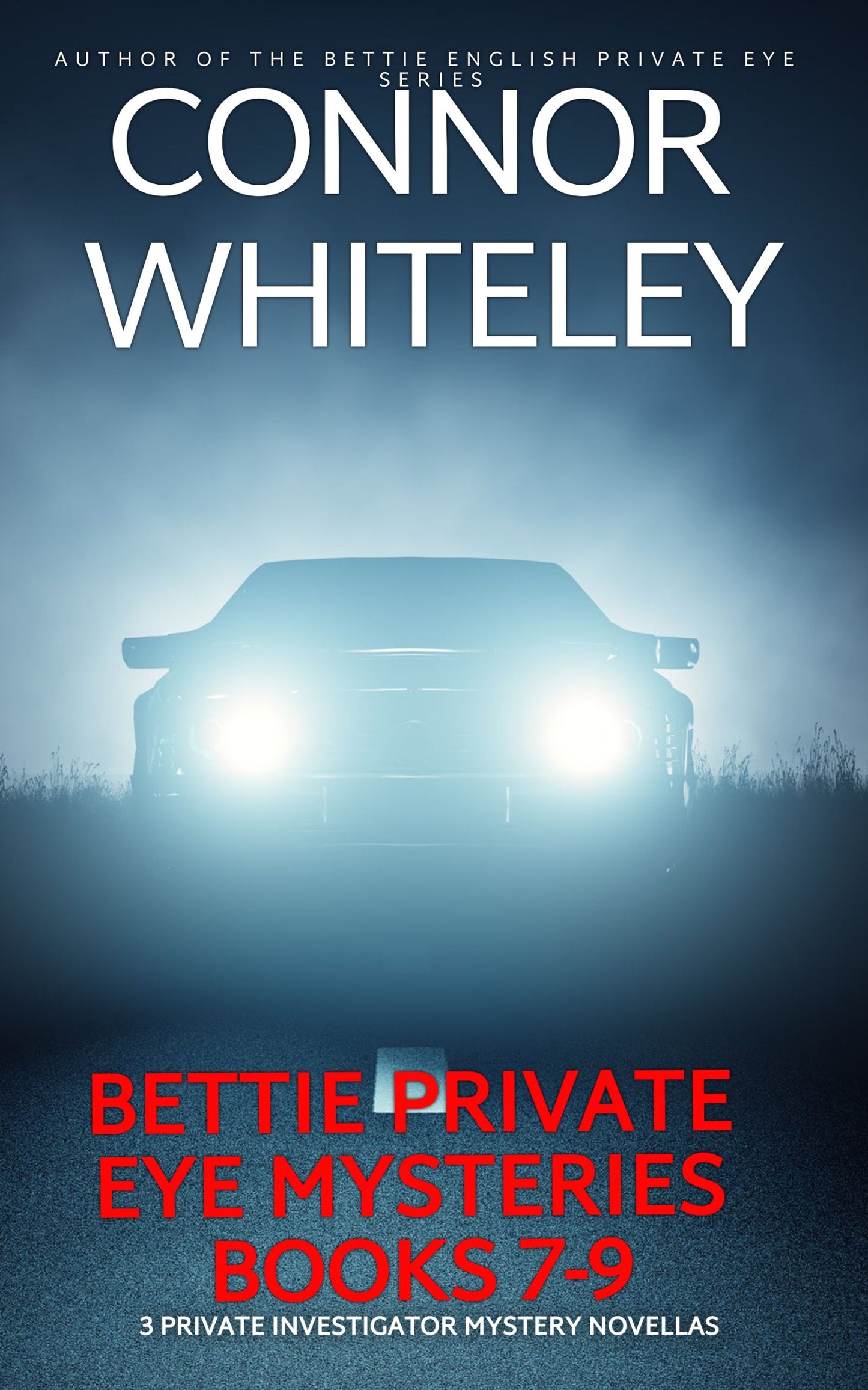 Bettie Private Eye Mysteries Books 7-9: 3 Private Investigator Mystery eBook Novellas