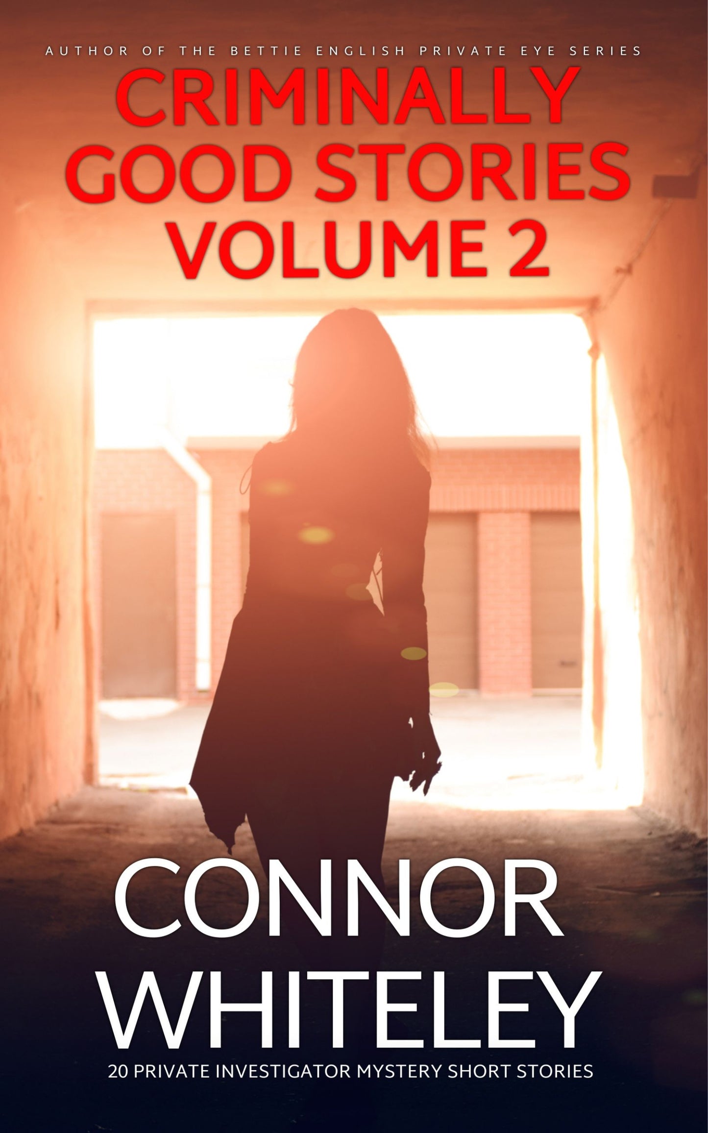 Criminally Good Stories eBook Volume 2: 20 Private Investigator Mystery Short Stories