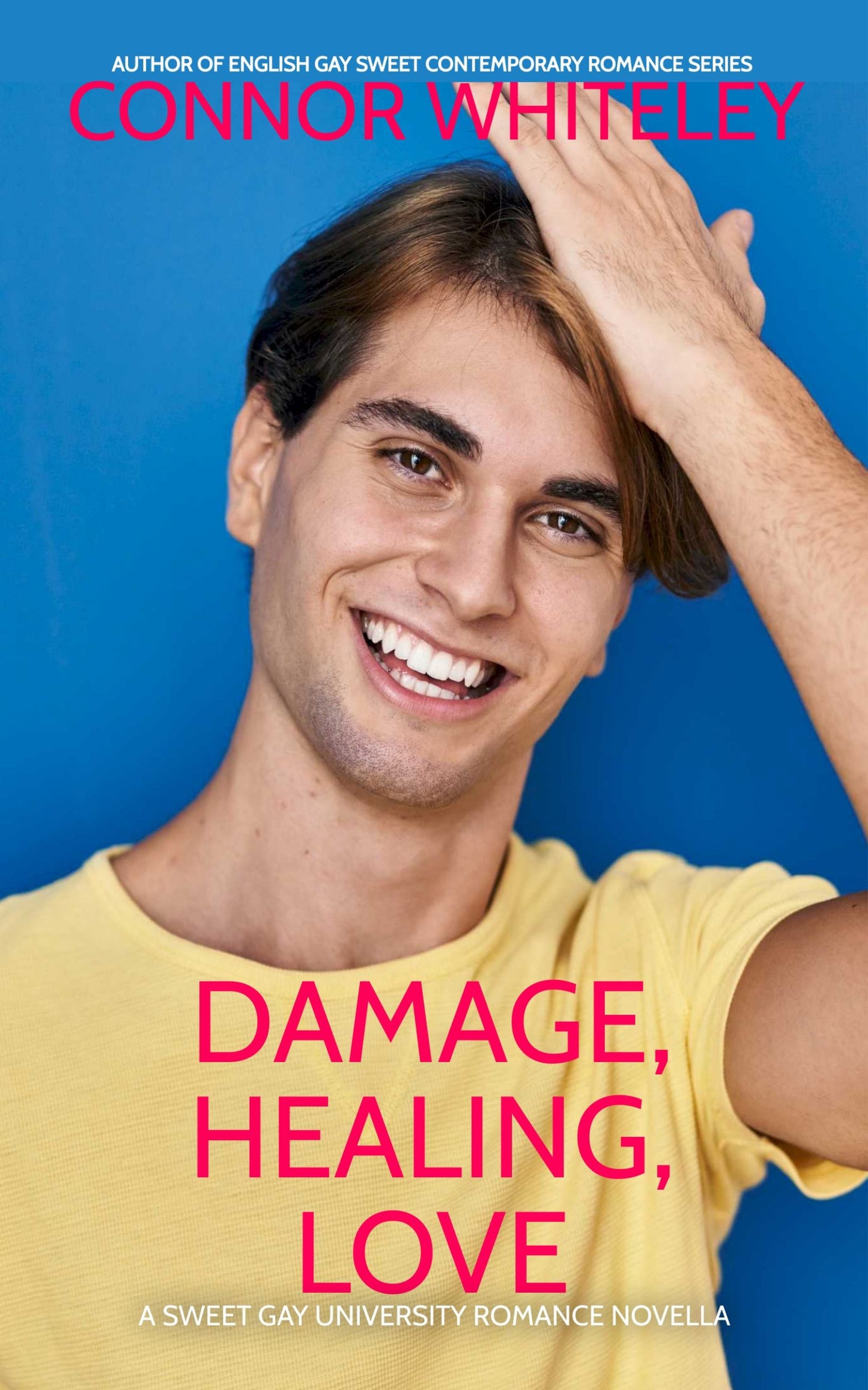 Damage, Healing, Love: A Sweet Gay University Romance Novella