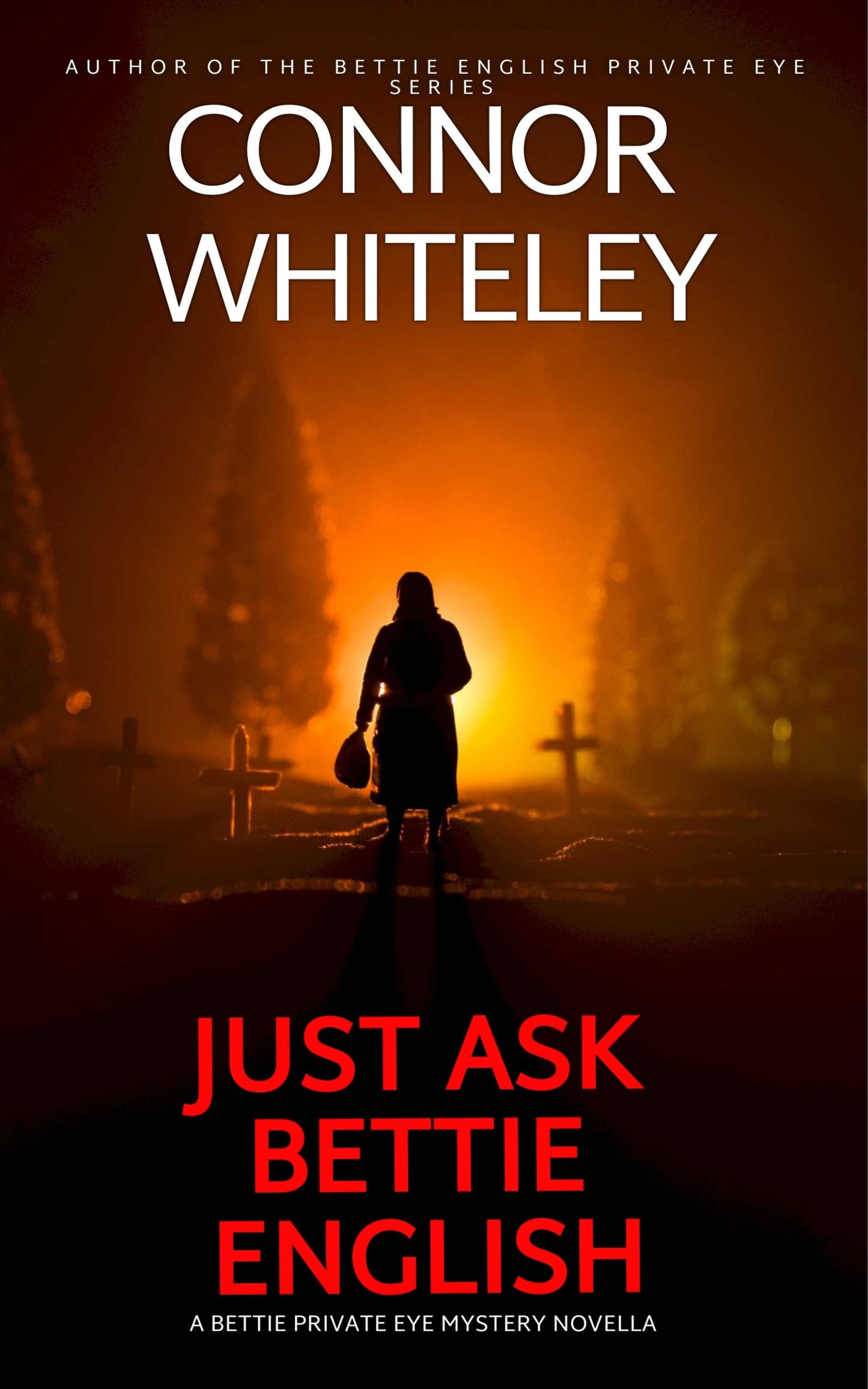 Just Ask Bettie English: A Bettie Private Eye Mystery eBook Novella