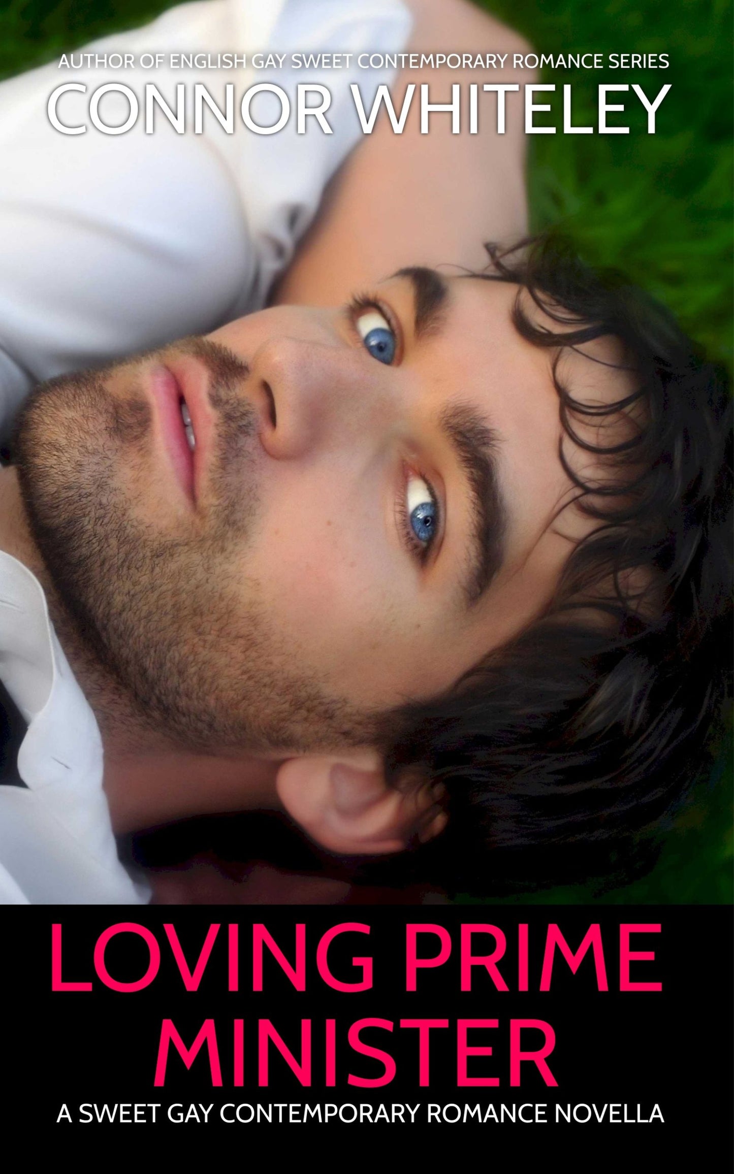 Loving Prime Minister: A Sweet Gay Contemporary Romance Novella