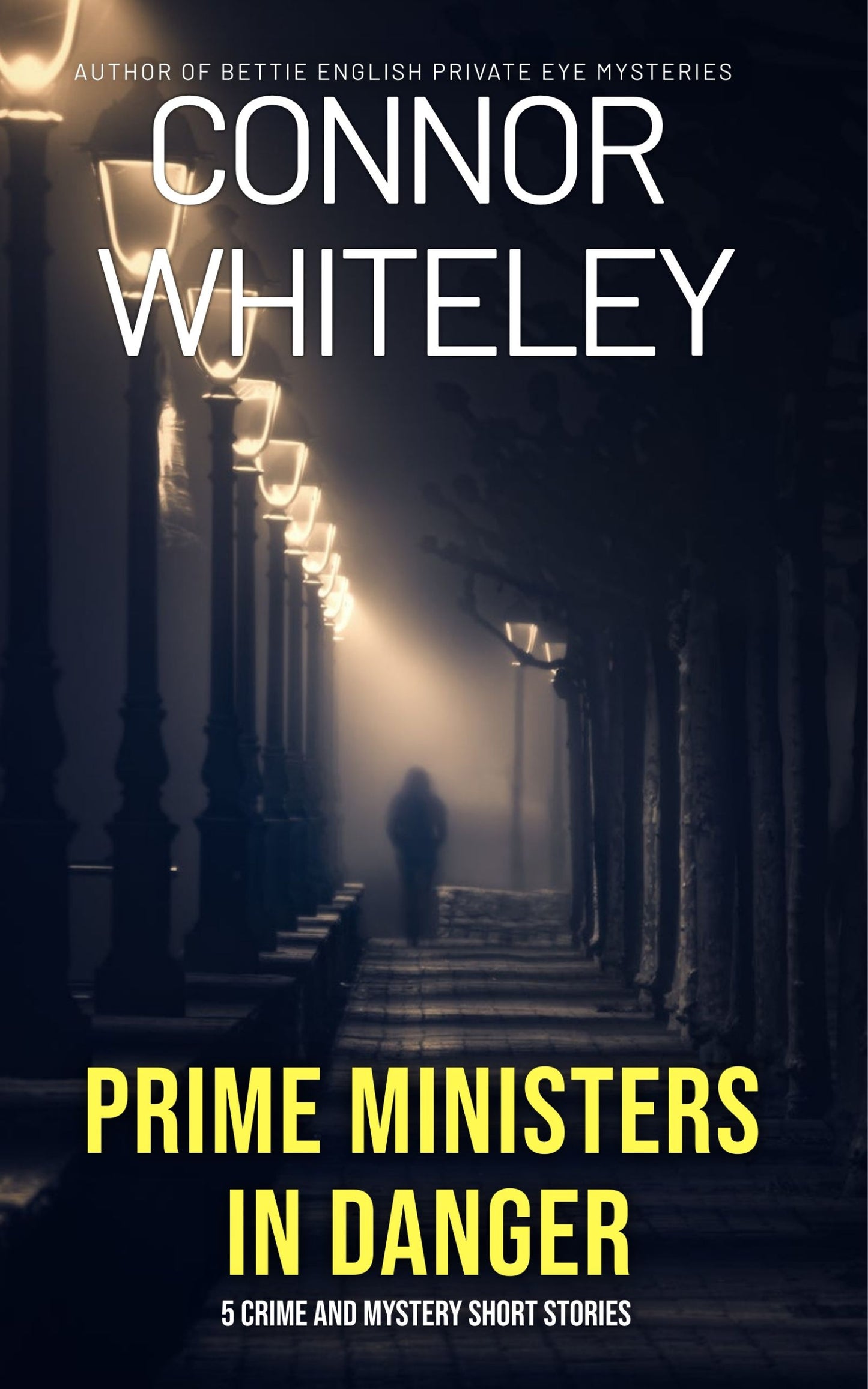 Prime Ministers In Danger: 5 Crime and Mystery eBook Short Stories