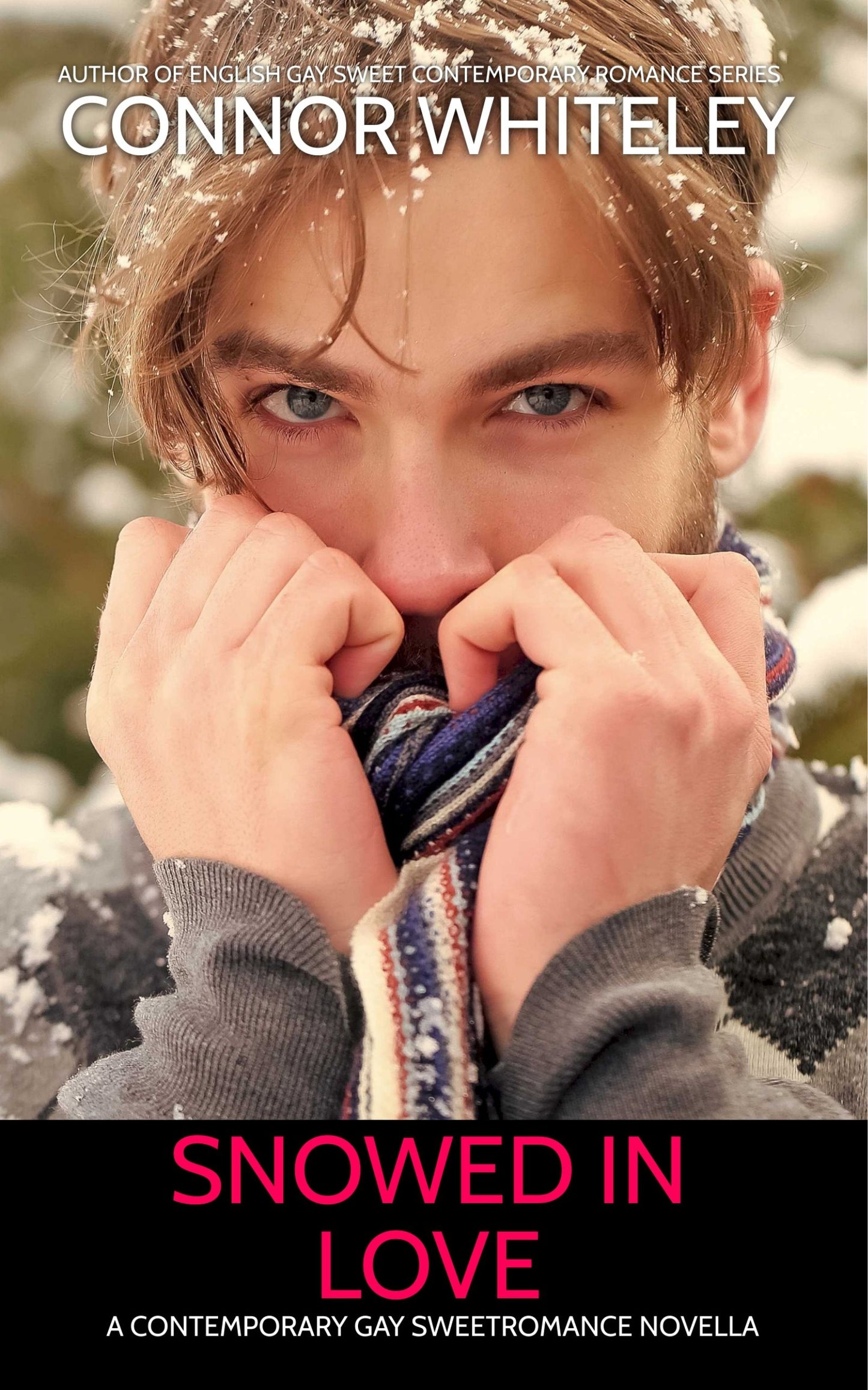 Snowed In Love: A Contemporary Gay Sweet Romance Novella