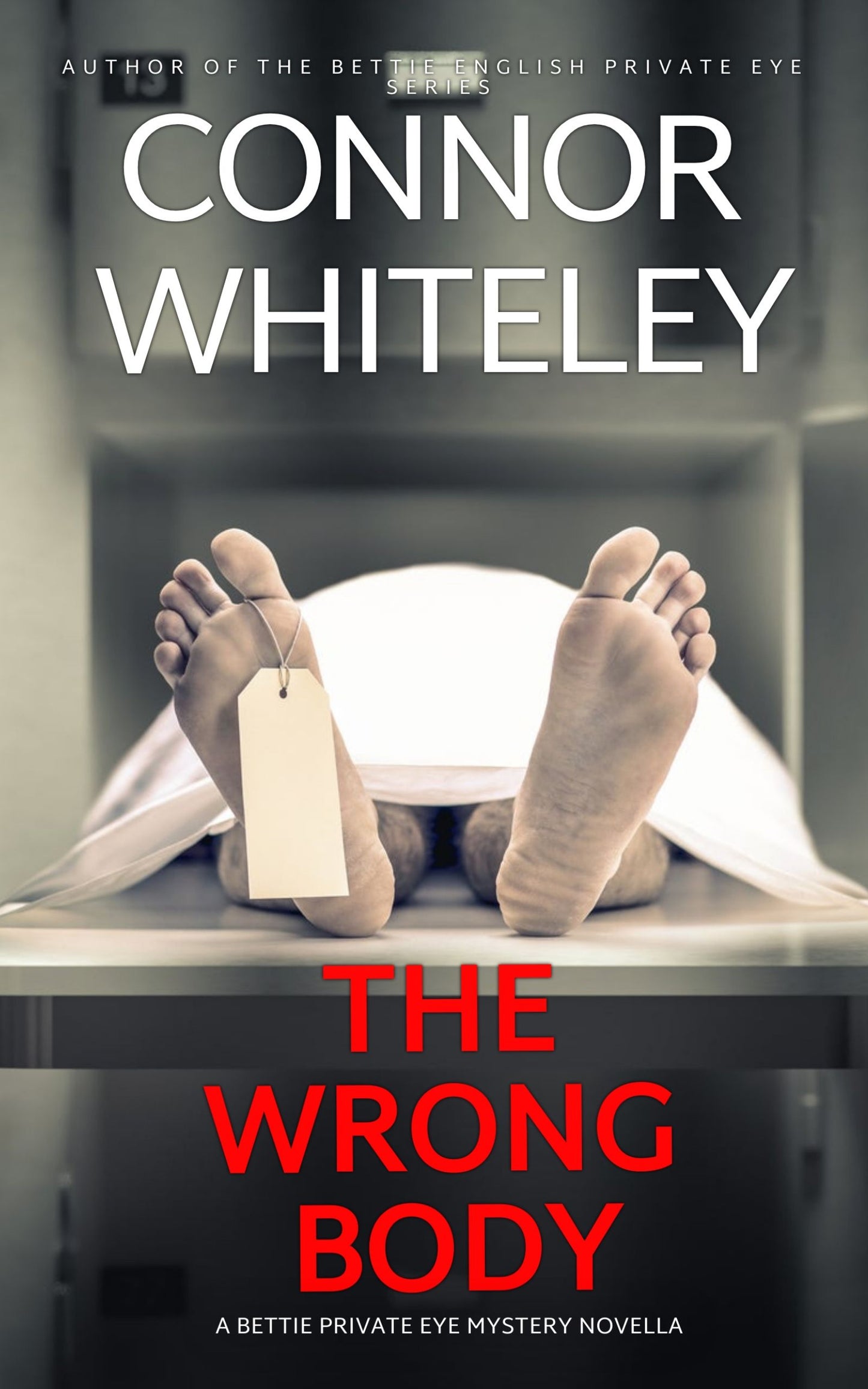 The Wrong Body: A Bettie Private Eye Mystery eBook Novella