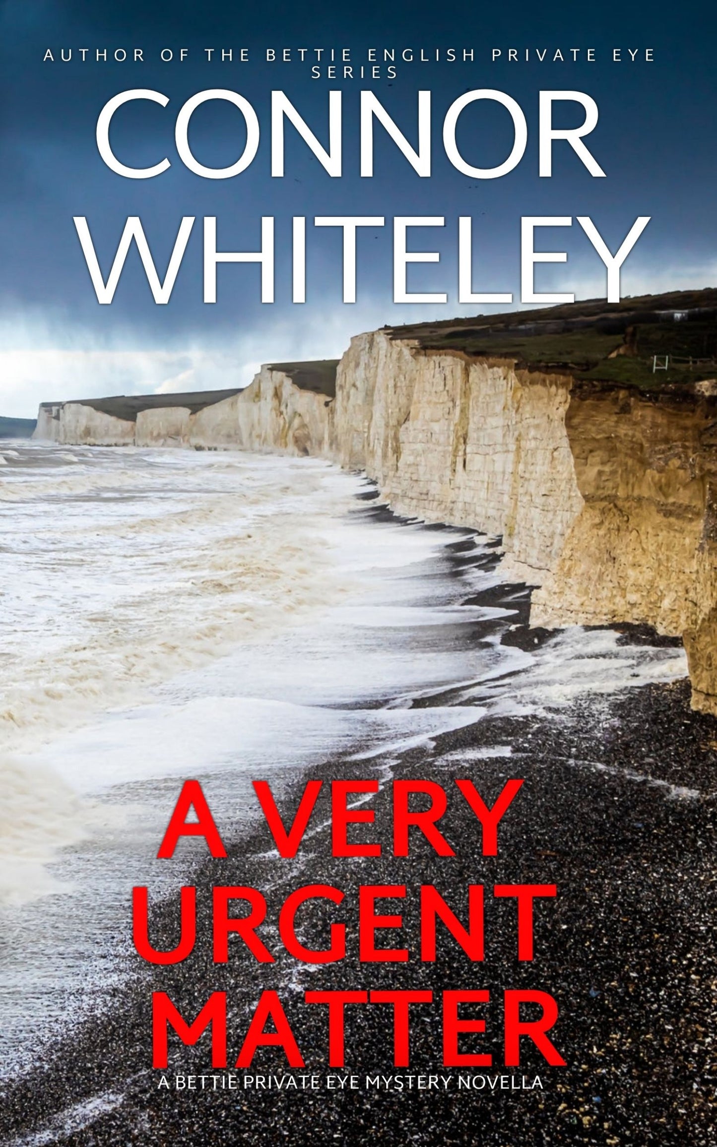 A Very Urgent Matter: A Bettie English Private Eye Mystery eBook Novella
