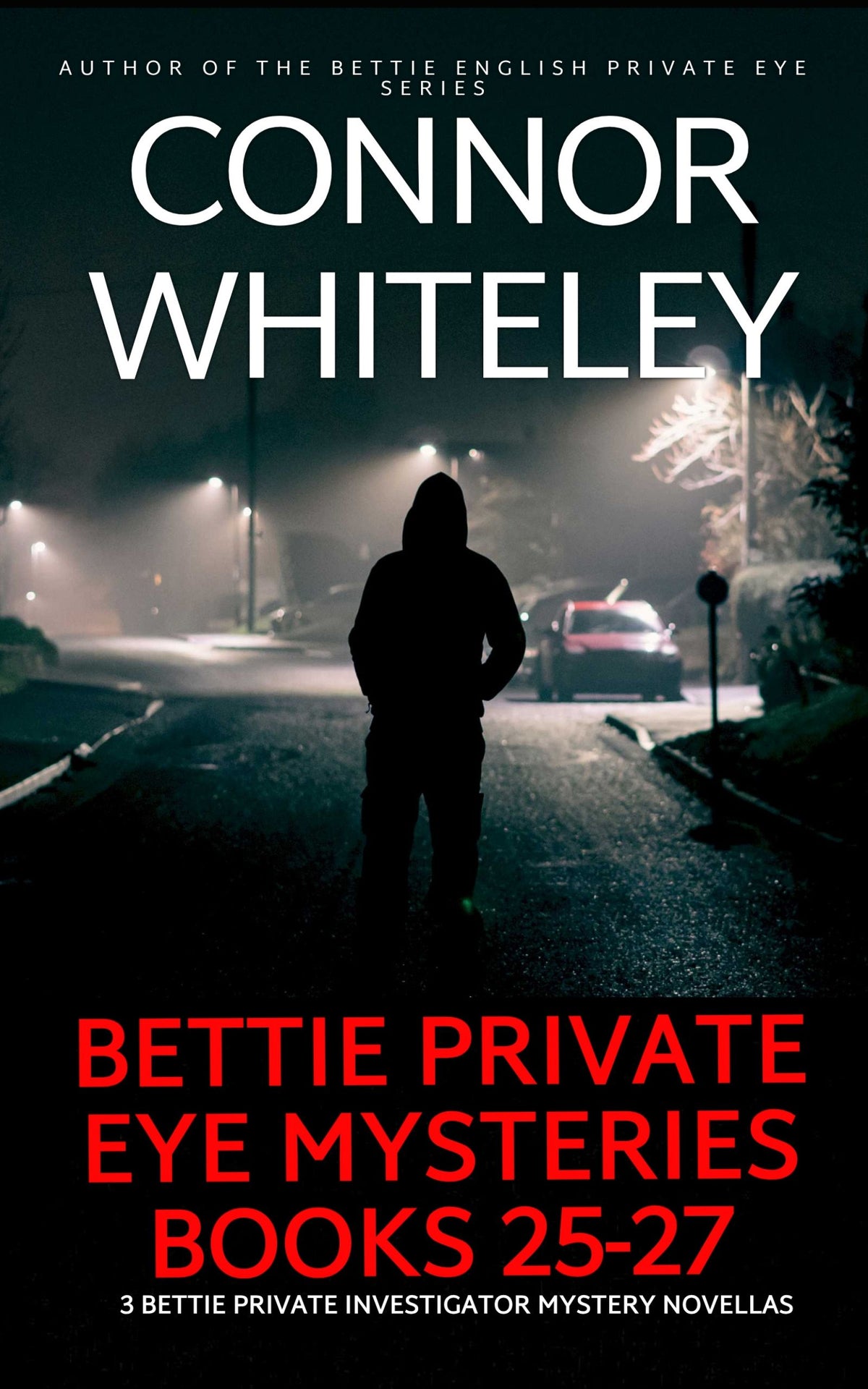 Bettie Private Eye Mysteries Books 25-27: 3 Bettie Private Investigator Mystery Novellas