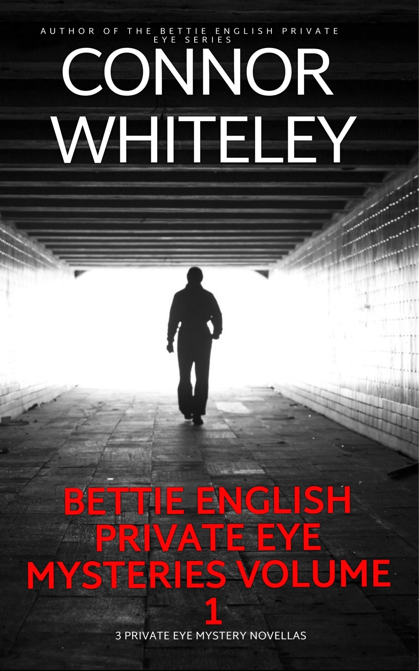 Bettie English Private Eye Mysteries Volume 1: 3 Private Eye eBook Mystery Novellas