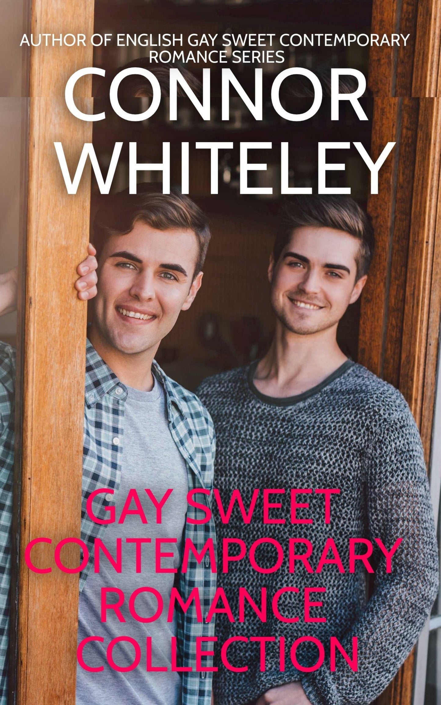 Gay Sweet Contemporary Romance Collection