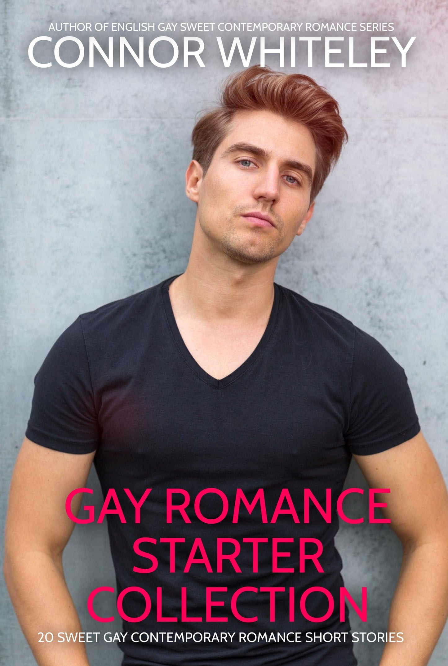 Gay Romance Starter eBook Collection: 20 Sweet Gay Contemporary Romance Short Stories