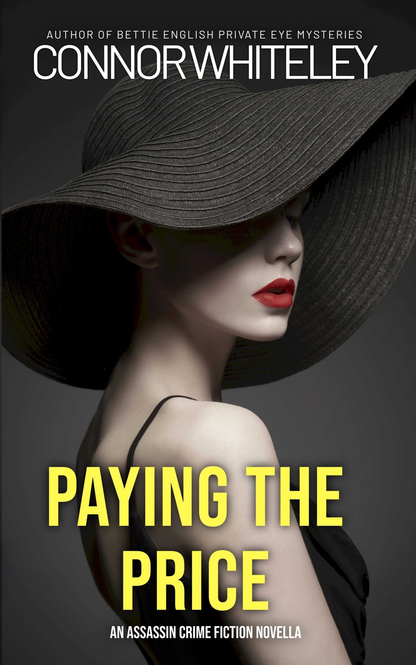 Paying The Price: An Assassin Crime Fiction eBook Novella