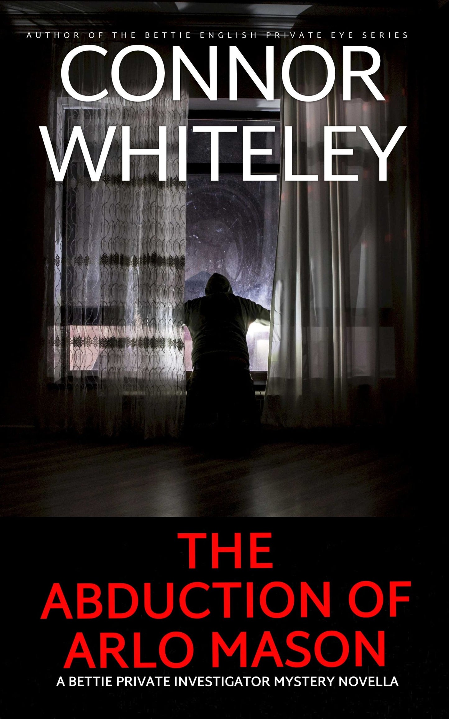 The Abduction Of Arlo Mason: A Bettie Private Investigator Mystery Novella