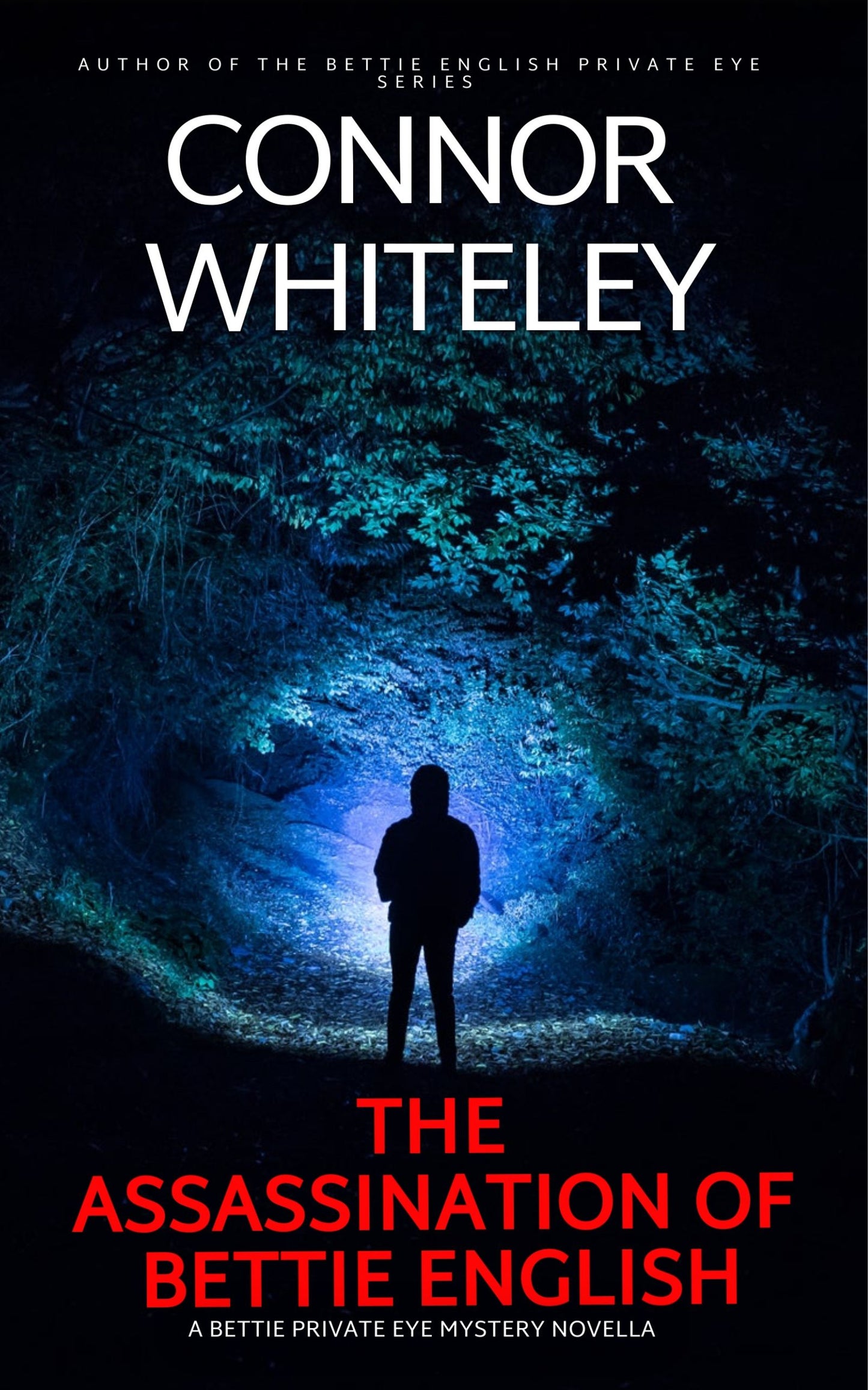 The Assassination Of Bettie English: A Bettie Private Eye Mystery eBook Novella