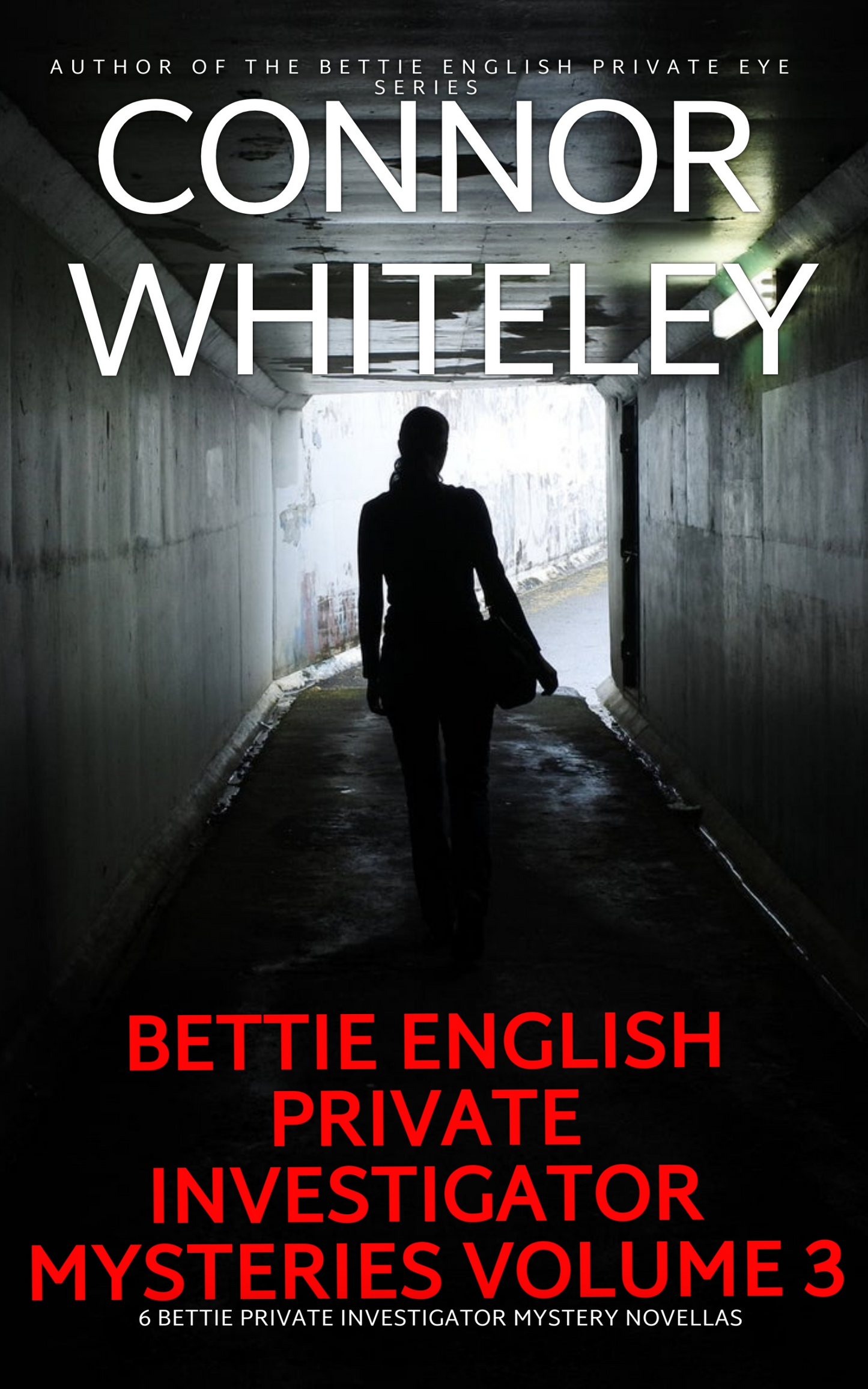 Bettie English Private Investigator Mysteries Volume 3: 6 Bettie Mystery eBook Novellas