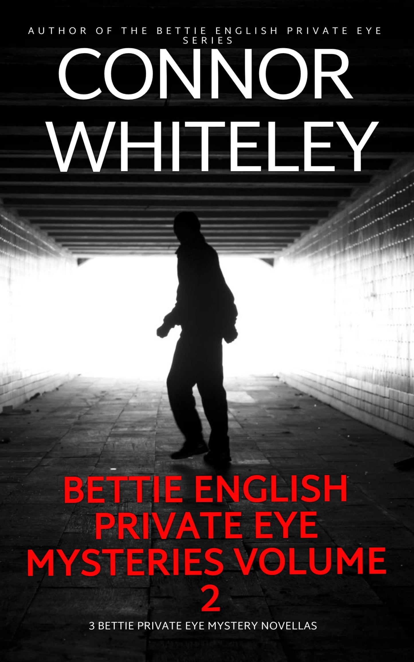 Bettie English Private Eye Mysteries Volume 2: 3 Bettie Private Eye Mystery eBook Novellas