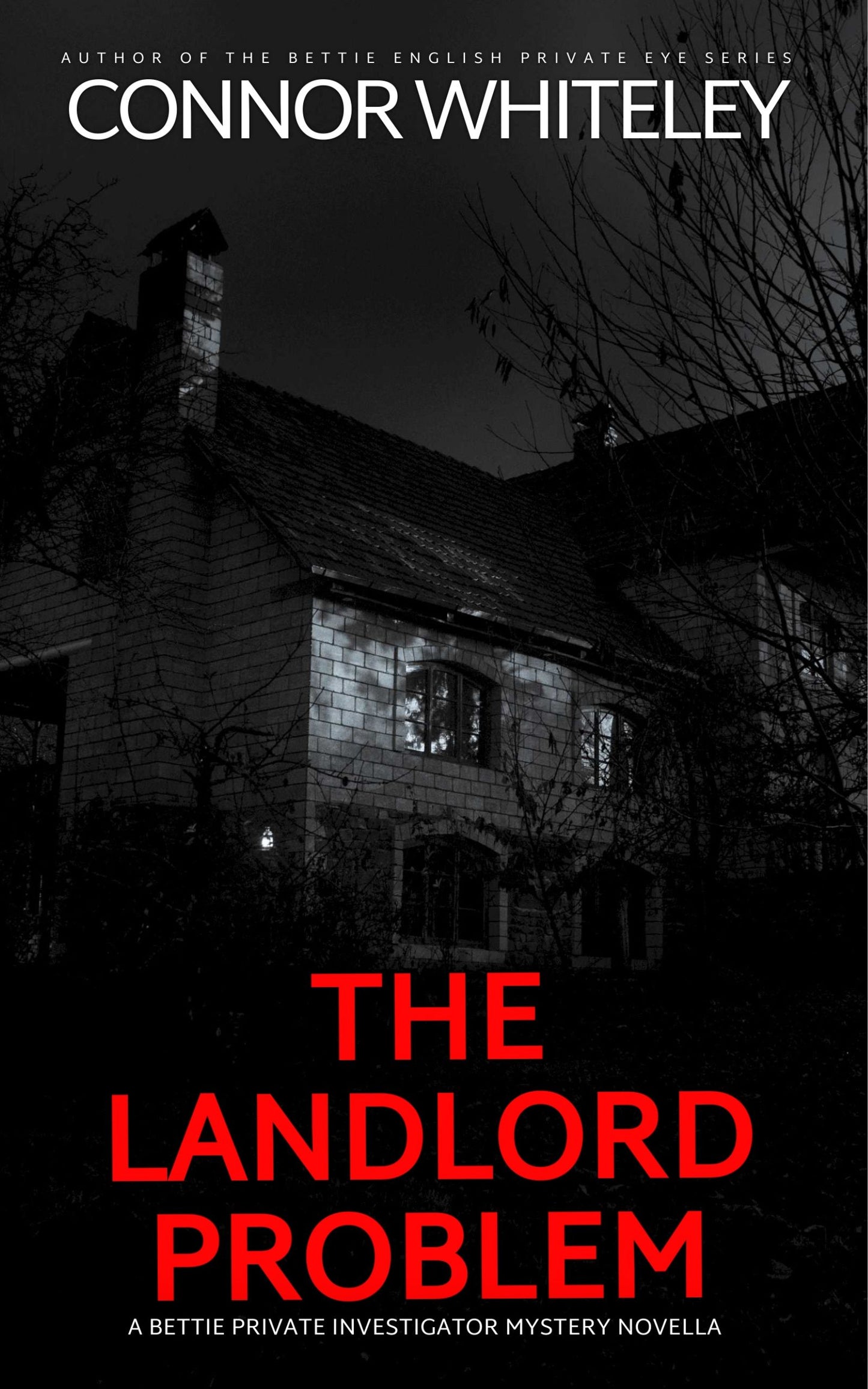 The Landlord Problem: A Bettie Private Investigator Mystery eBook Novella